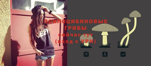 прущая мука Сафоново