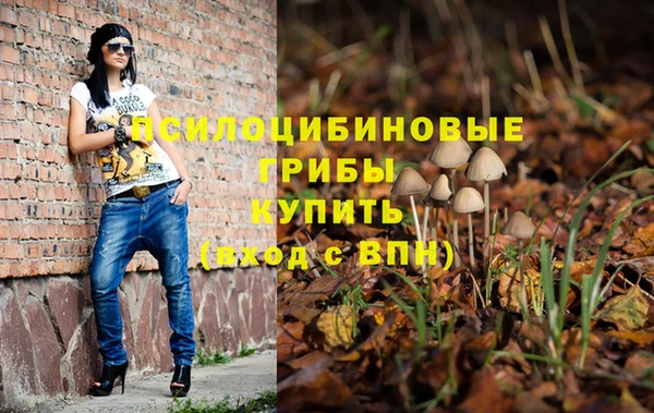прущие крисы Саяногорск