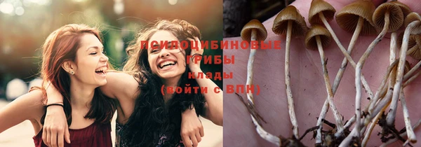 кристаллы Сатка