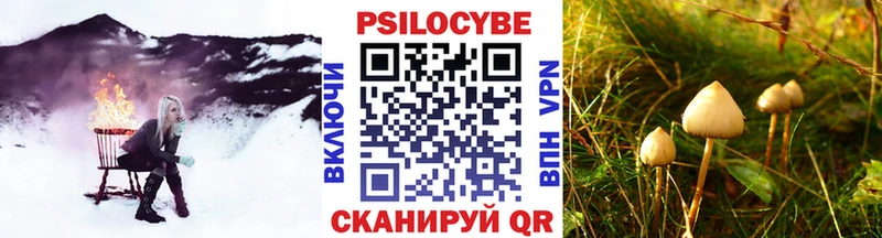 Псилоцибиновые грибы ЛСД  сайты даркнета телеграм  Электросталь 
