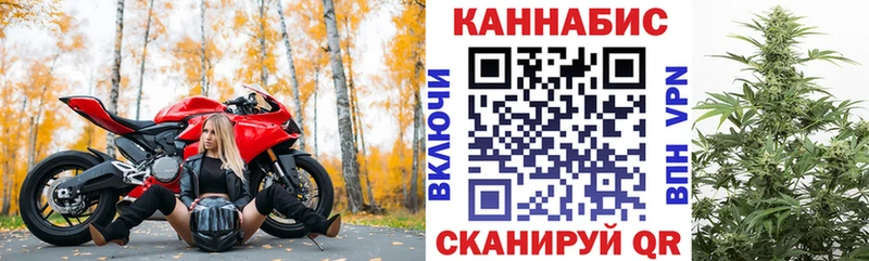 где купить наркотик  кракен зеркало  Конопля OG Kush  Электросталь 